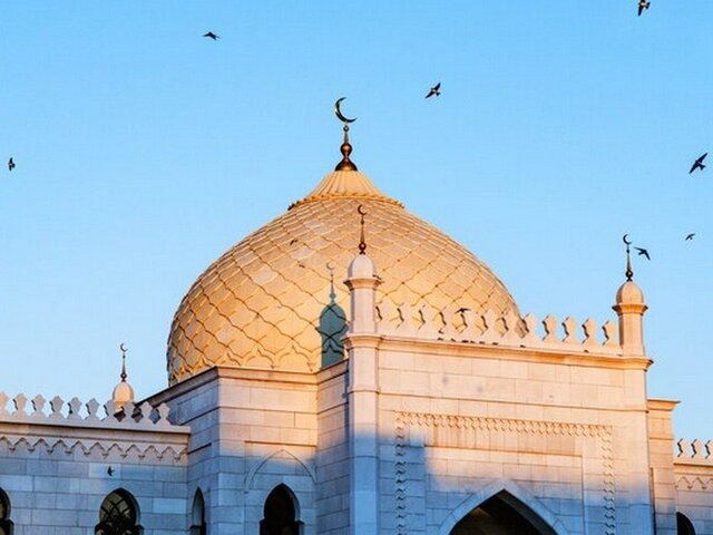    Фото: 123RF/annmaysnz