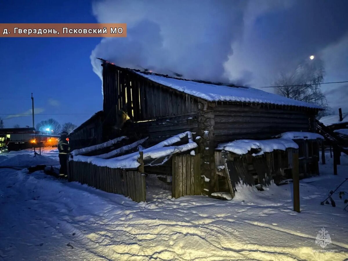 Фото: пресс-служба ГУ МЧС России по Псковской области