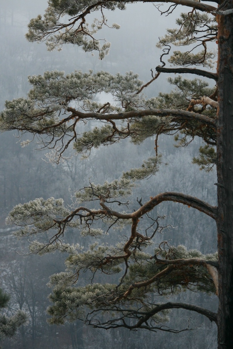    Фото Национального парка "Самарская Лука"