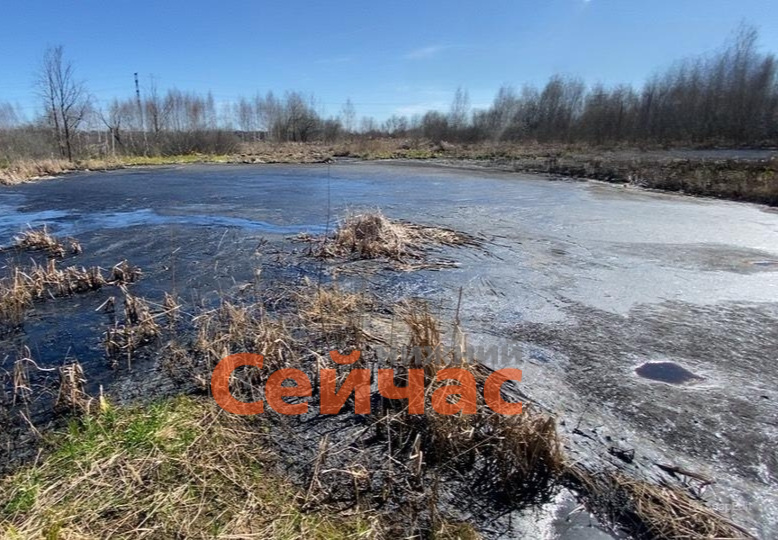    Фото: Росприроднадзор Редакция nn-now