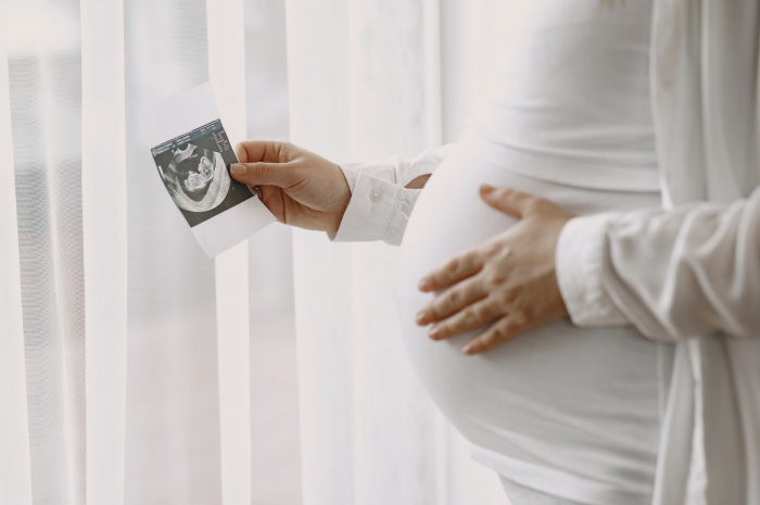    prostooleh / ru.freepik.com