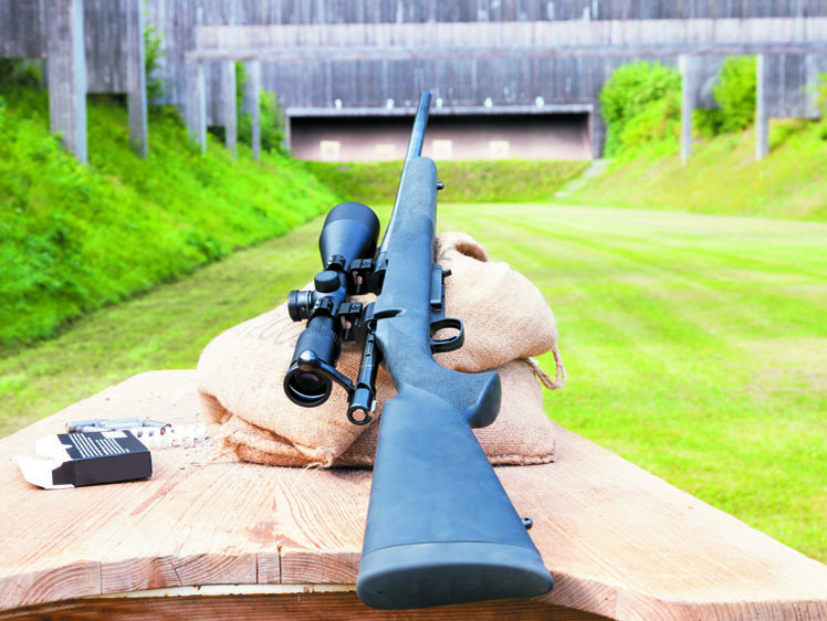     Фото: shutterstock