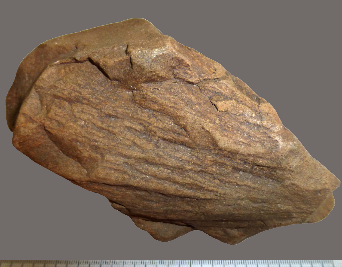 Астроблема Янис-Ярви (Карелия). Конус сотрясения по осадочным породам. Коллекция Московского планетария.