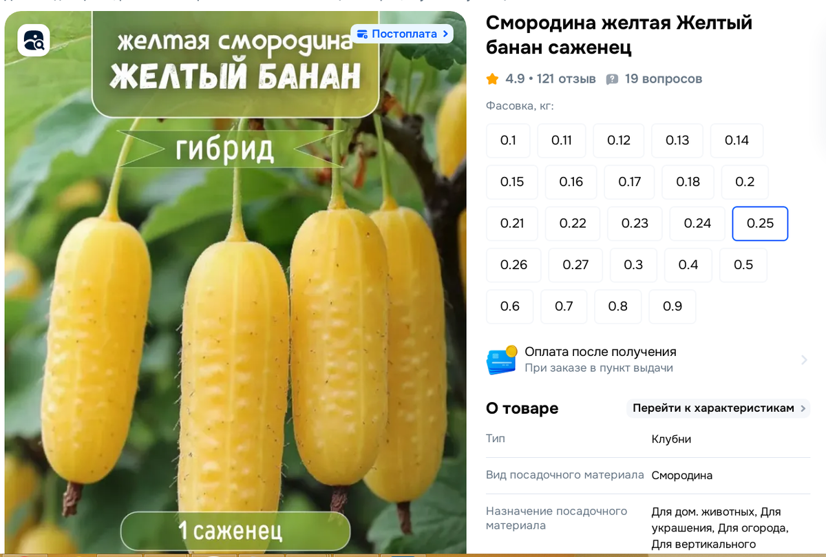 смородина по форме похожа на огурец, но с названием Желтый банан