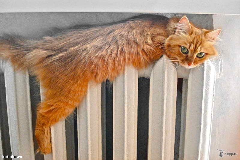    Отопление // Фото с сайта murki.com.ua