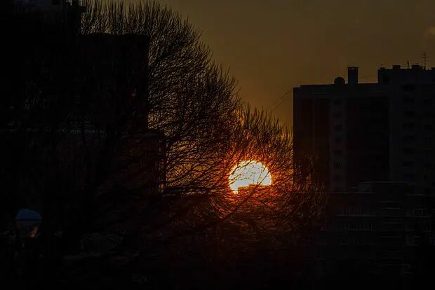    Фото: lenta.ru Михаил Козлов