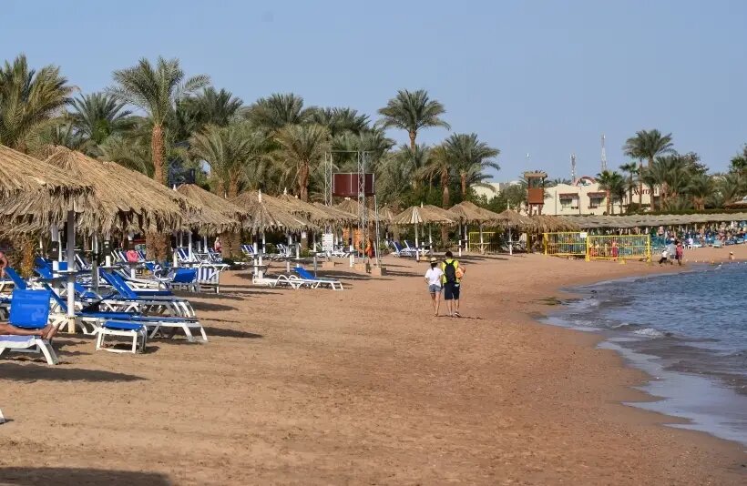     © РИА Новости. Алексей Витвицкий