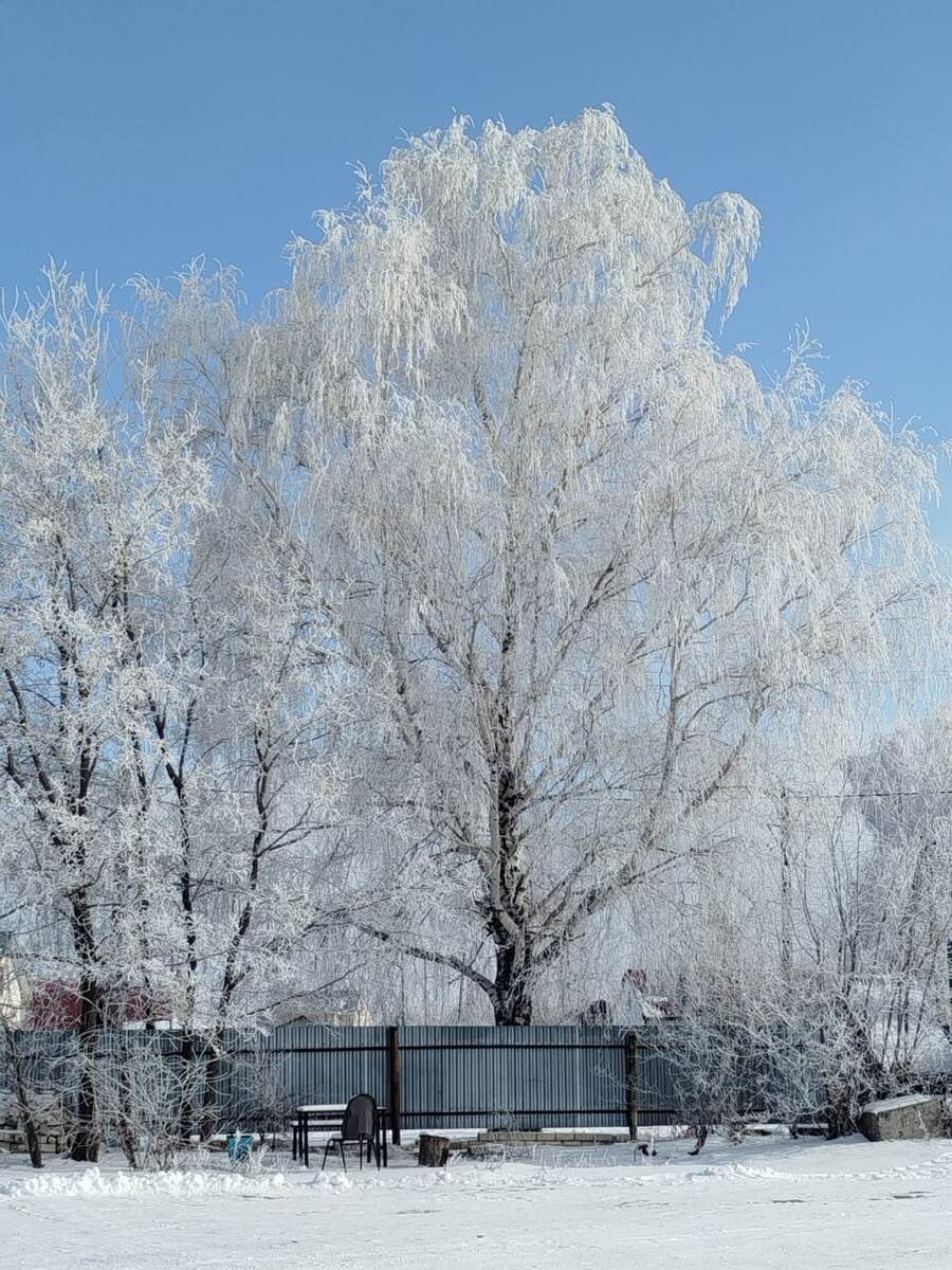 Фото автора