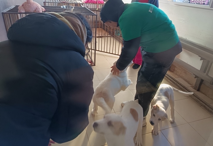 Листайте вправо, чтобы увидеть больше изображений