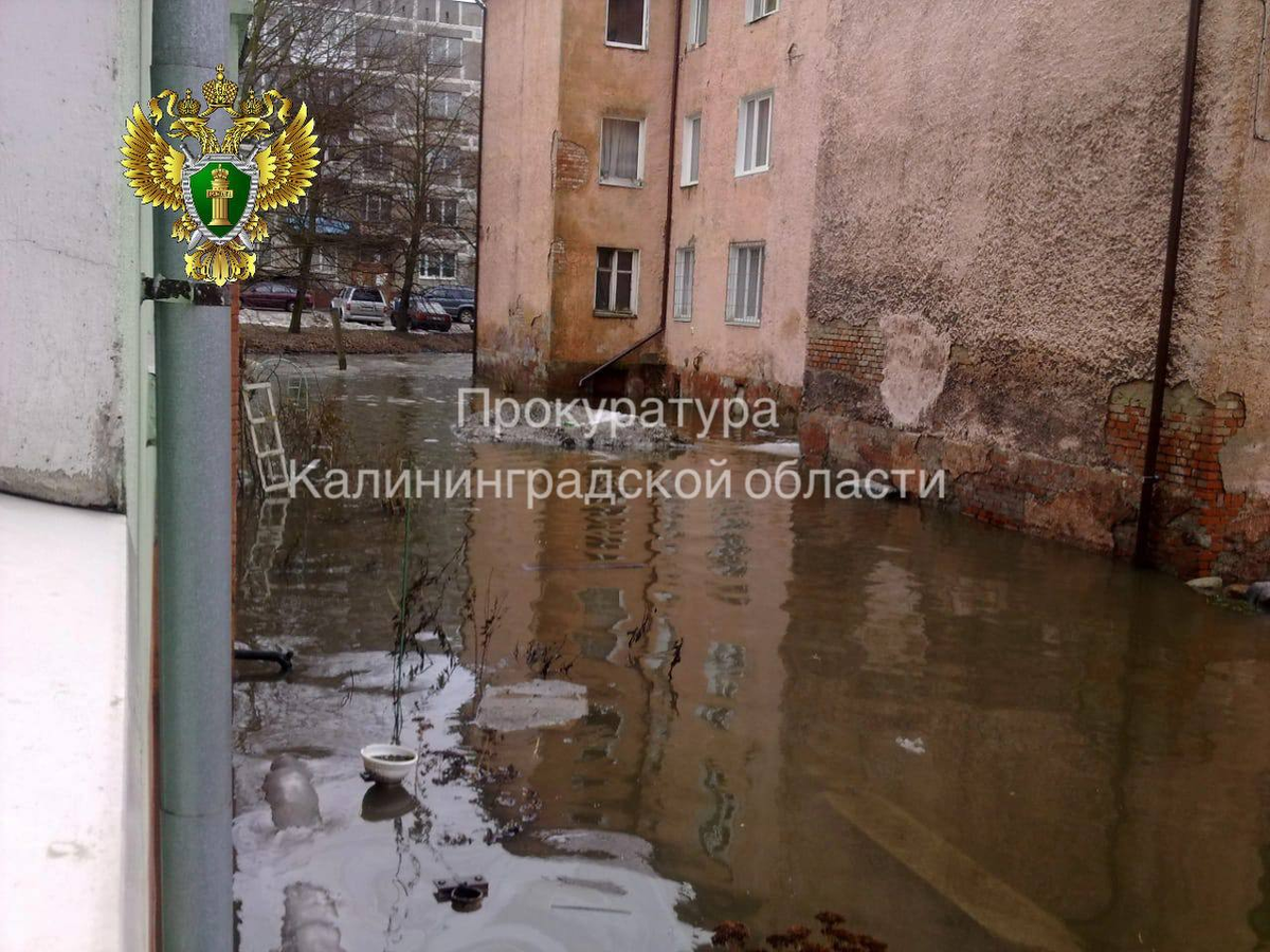 Источник: прокуратура КО