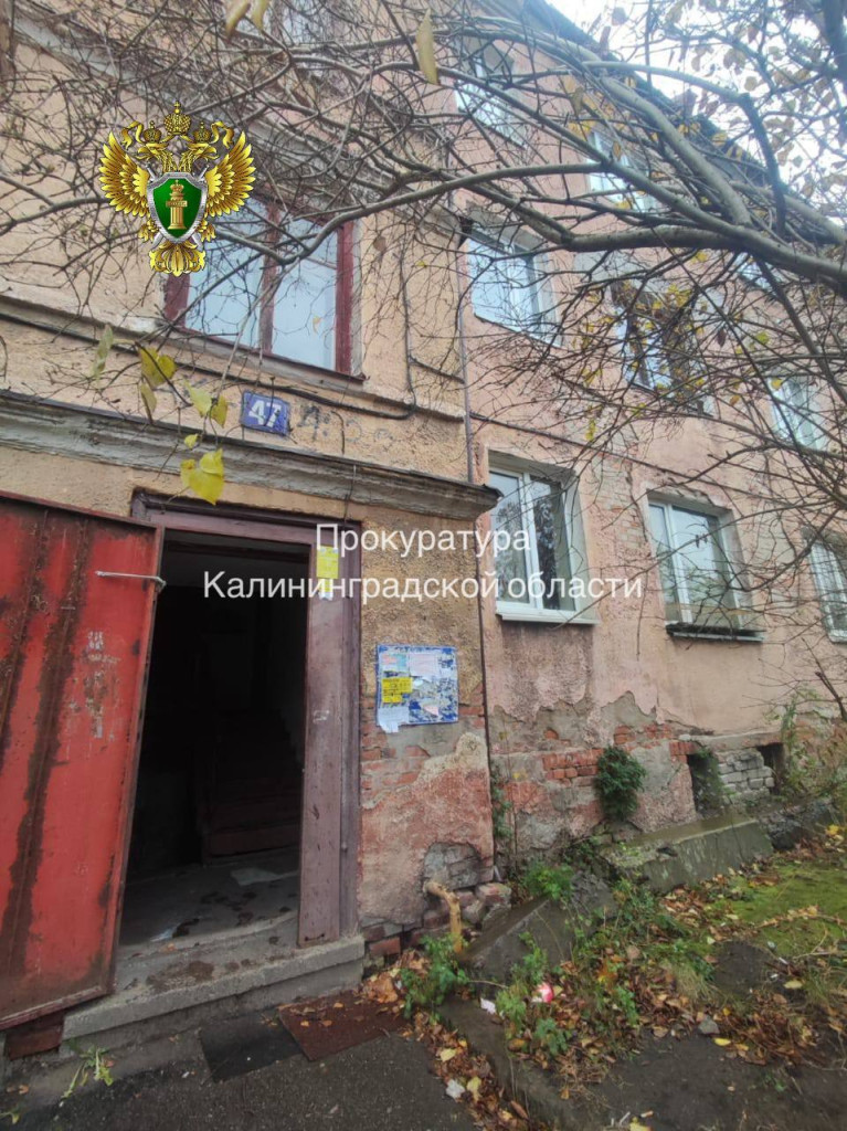 Источник: прокуратура КО