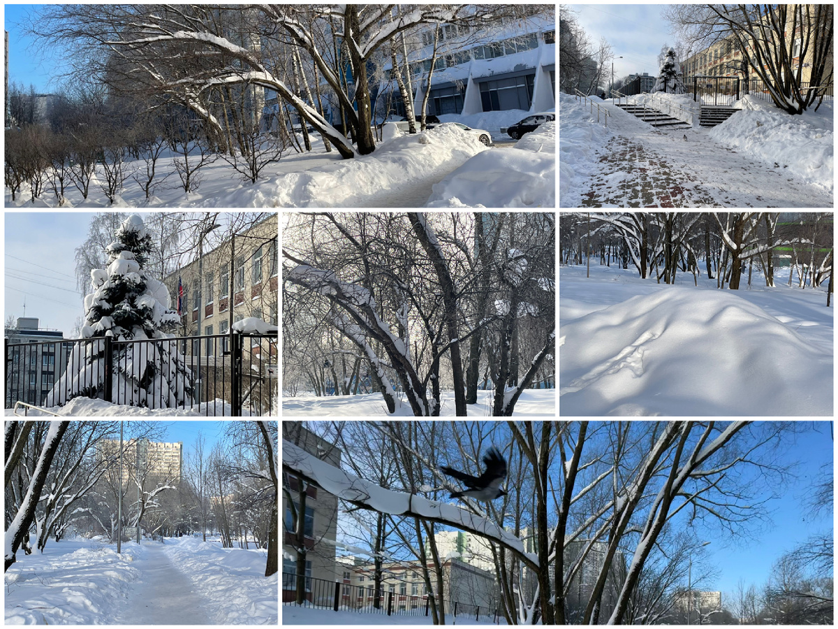 Зимние пейзажи