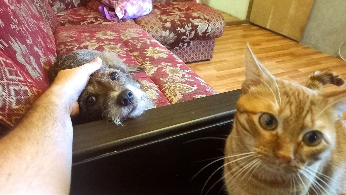 Главные любители тепла))