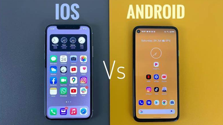 Источник яндекс картинки