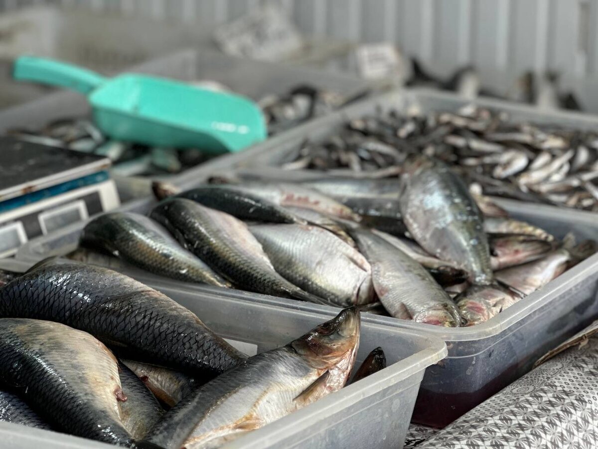 Фото: РБК Юг