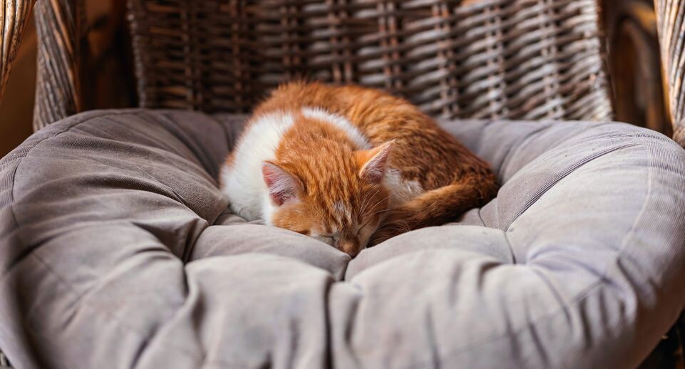    Медиасток.рф