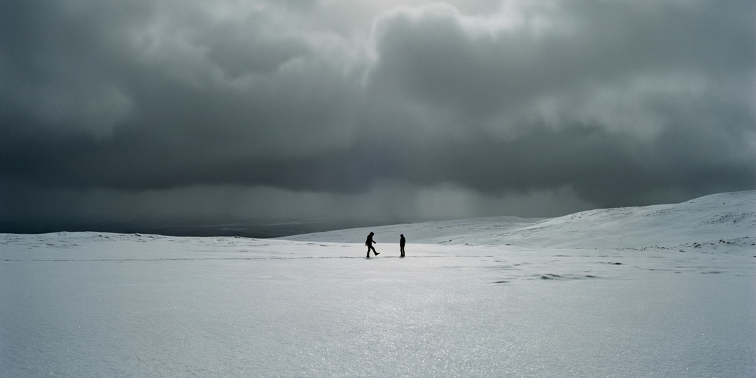 Нам с напарником на вахте захотелось ёлку. В тундре. То, что мы притащили в итоге, заставило смеяться всю смену.