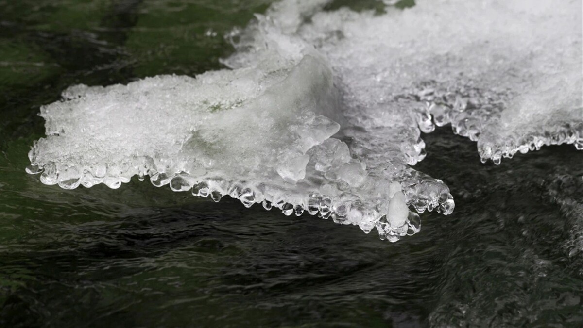    Фото: Lizard /Shutterstock/Fotodom