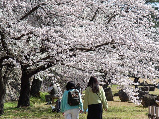    Фото: ТАСС/Zuma