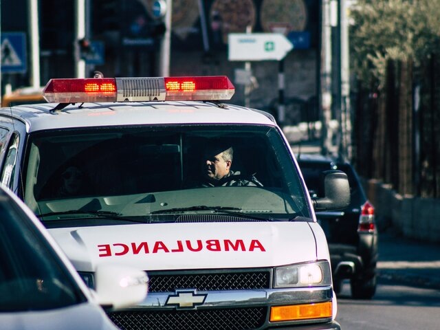    Фото: 123RF.com/joseh51