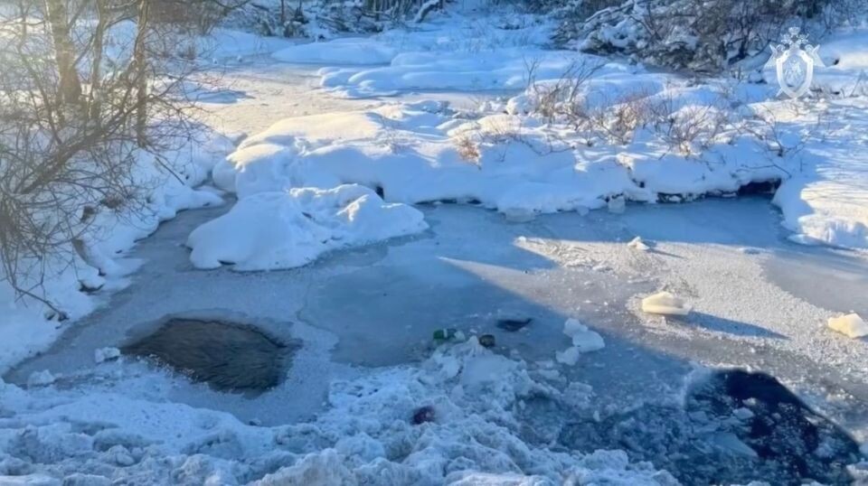    Место, где нашли тело девятилетнего мальчика. Источник: Следственный комитет РФ