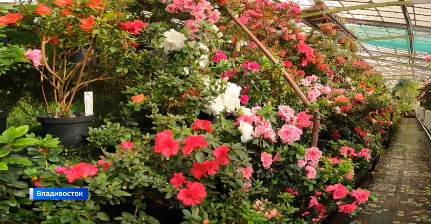    Источник фото: