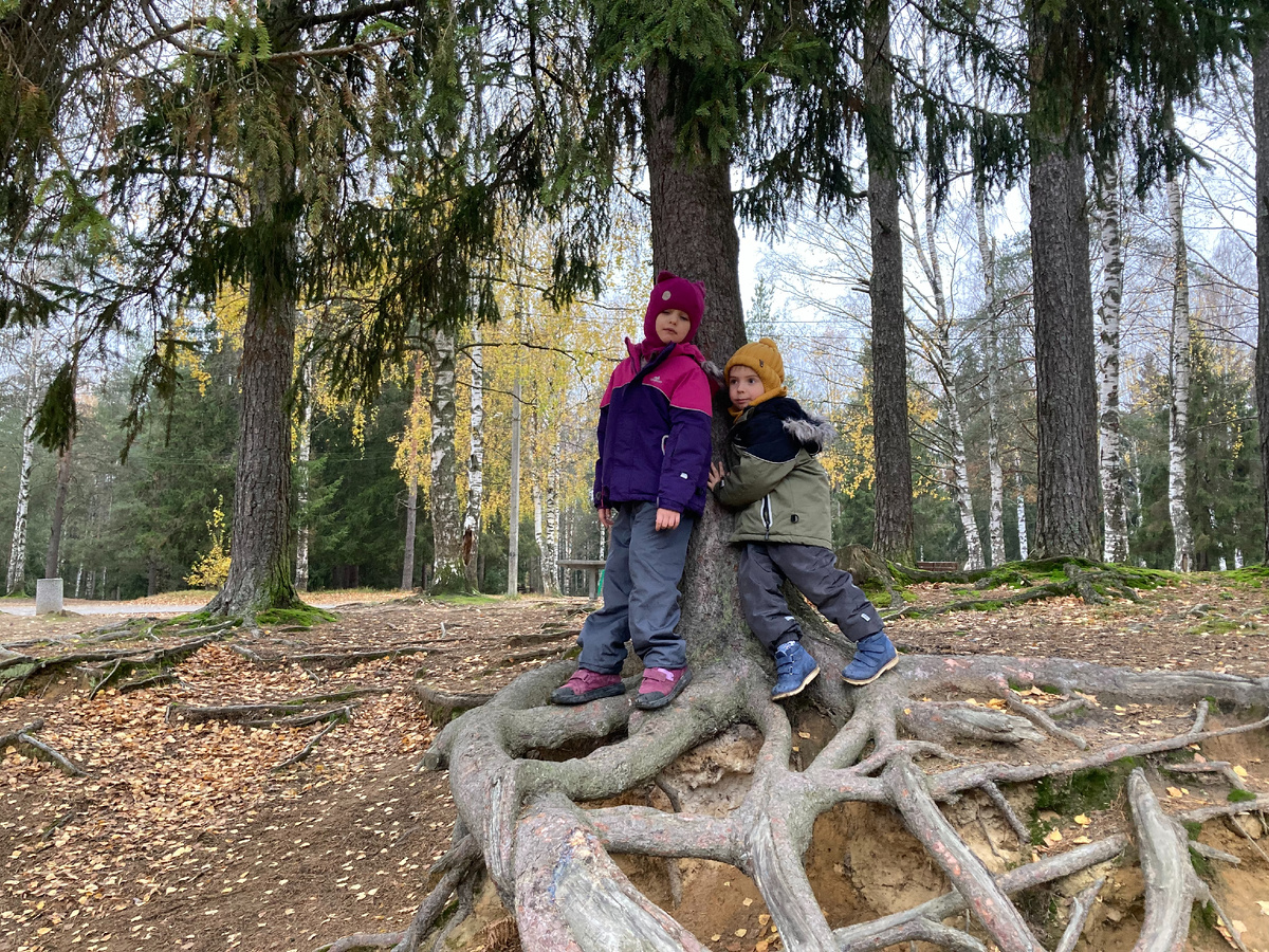 Обратите внимание, слева виднеется дорожка и урна для мусора. Вроде лес, но все для людей.