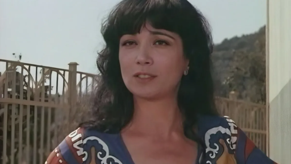 Фото: © Сериал "Дрессировщики", реж. А. Беленький, год 1975