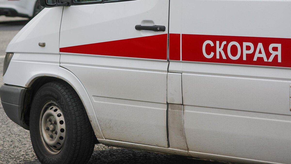    Фото: Shatokhina Natalia/globallookpress.com