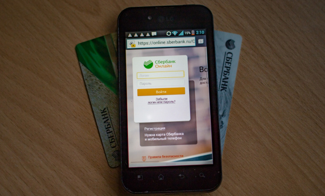    фото: © Столица на Онего