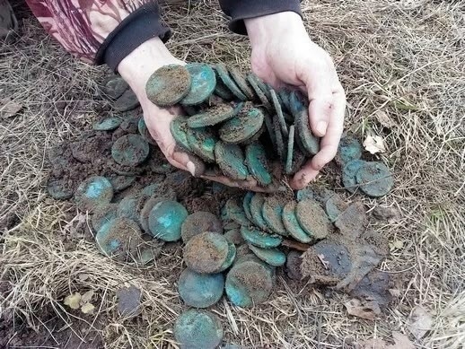 Клад монет, убрали дерево