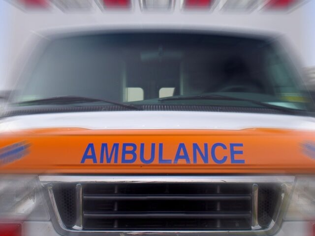    Фото: depositphotos/zimmytws