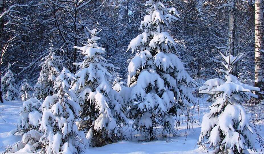 Как пансионат для пожилых обеспечивает безопасность и здоровье зимой: что важно знать родственникам