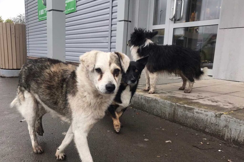    Фото: В курсе.ру Полина Анкушина
