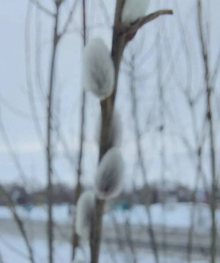 Фото: Денис Копылов