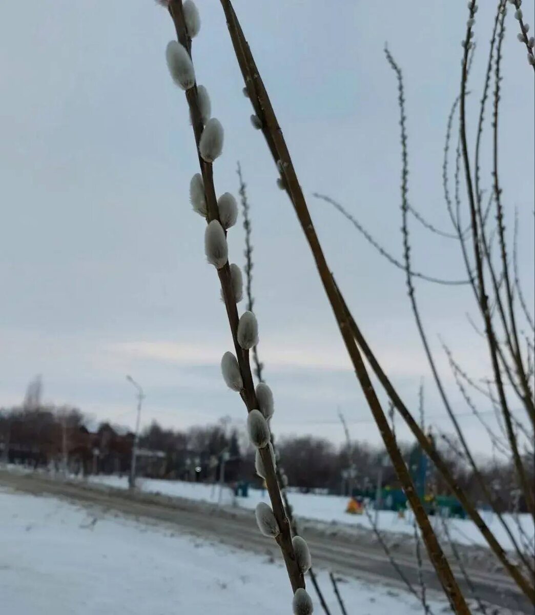 Фото: Денис Копылов