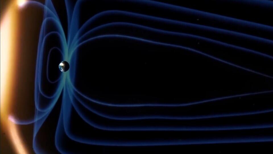 Фото: © Кадр из программы "Невероятно интересные истории", РЕН ТВ