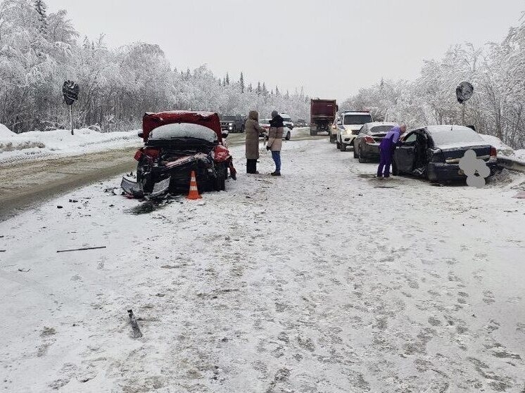     фото: официальный телеграм-канал Госавтоинспекции Мурманской области.