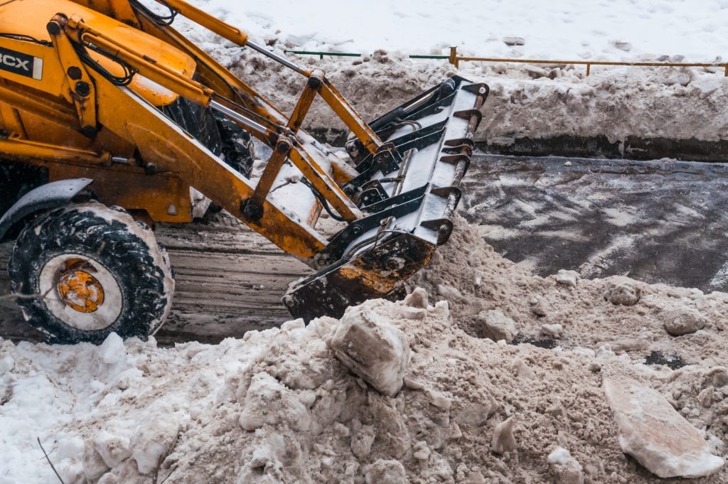 © Алёшина Оксана / Фотобанк Лори