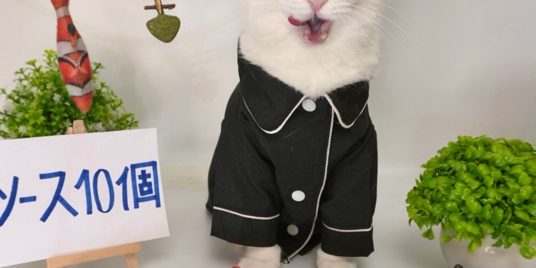 5 фактов о кошках, которые реально удивят