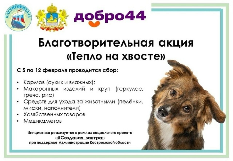    Фото: МЦ "Кострома"