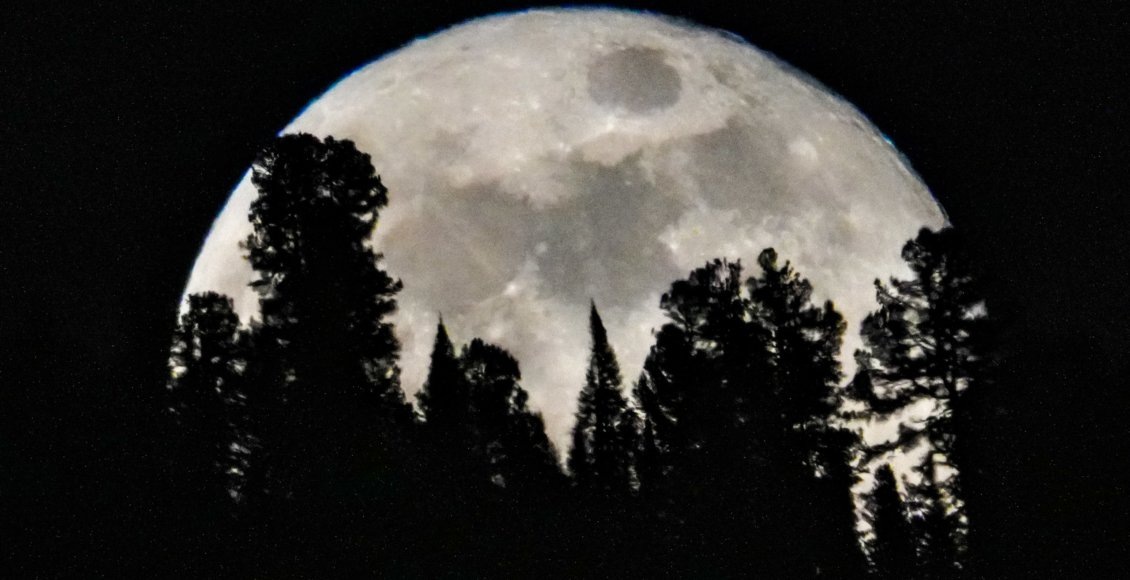    Фото: Роман и Татьяна Воробьевы