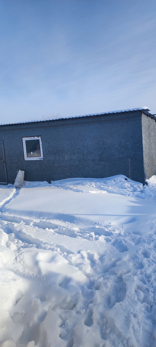 Кошачий дом