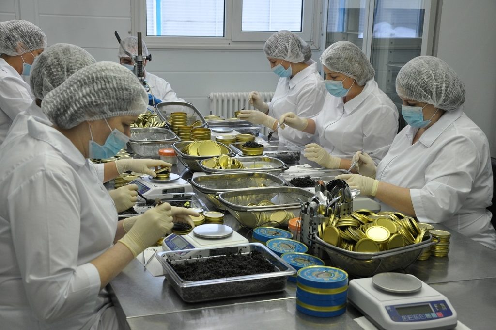    Рыботоварная фирма «Диана» – единственное в своем роде, уникальное полносистемное рыбоводное хозяйство. Источник фото: официальный сайт ООО «Русский икорный дом».