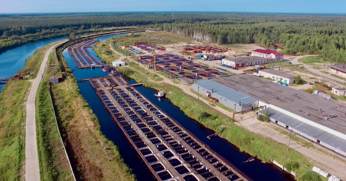    Группа компаний «Русский икорный дом» владеет старейшим рыборазводным комплексом России. Источник фото: официальный сайт ООО «Русский икорный дом».