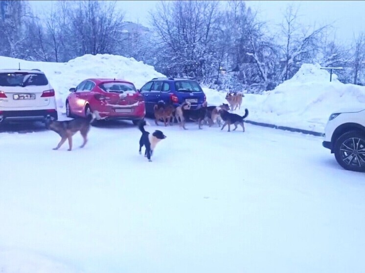     ОТРК «Югра»