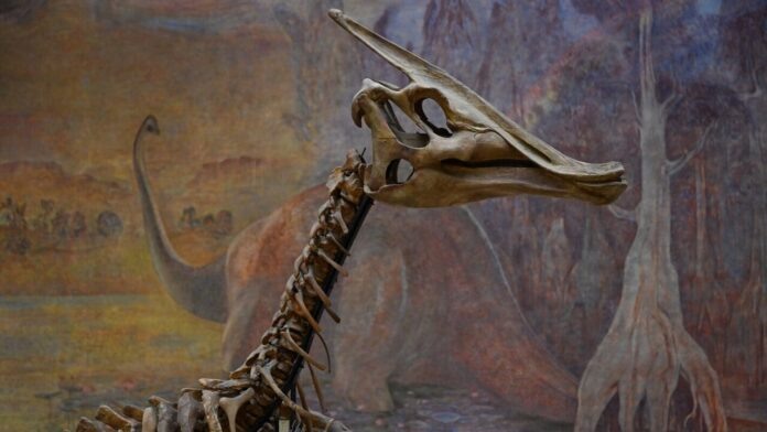    Визуализация, представляющая клонированных зауроподов, ставших основой пищевой безопасности в 2040-х годах, в рамках концепции 'Синдрома Аллозавра'.