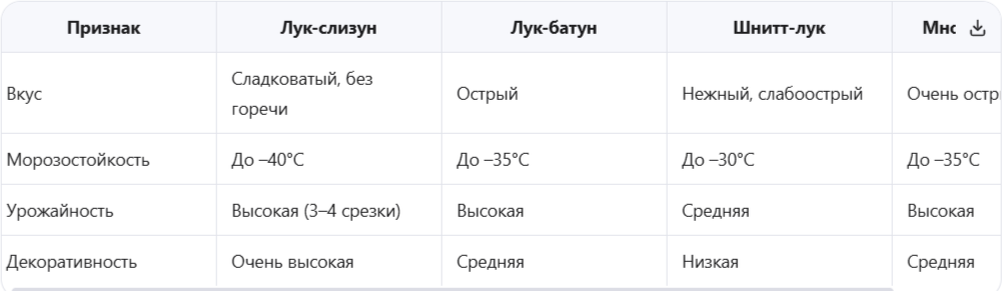 Лук-слизун vs другие многолетние луки
