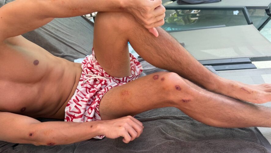    Фото: телеграм-канал Хабиба