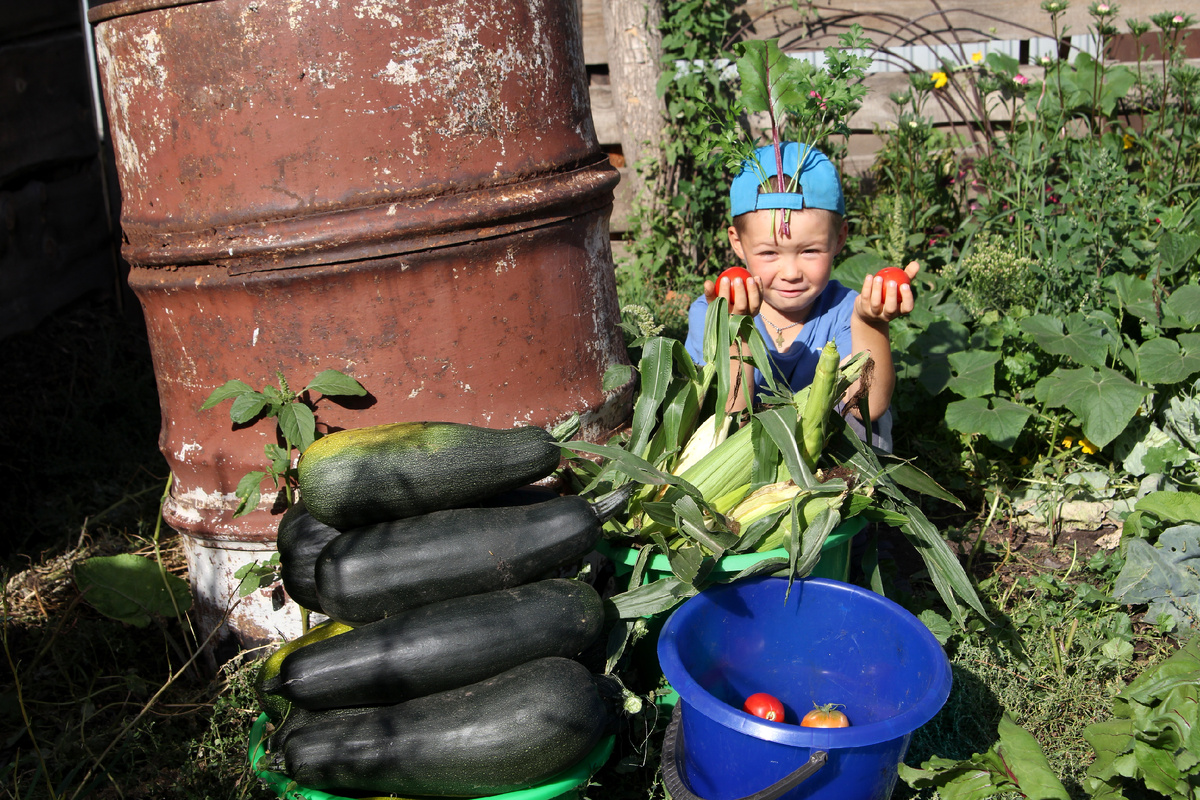 Используем детскую энергию на огороде, весело и с пользой